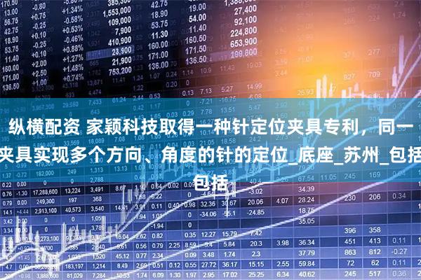 纵横配资 家颖科技取得一种针定位夹具专利,同一夹具实现多个方向、角度的针的定位_底座_苏州_包括